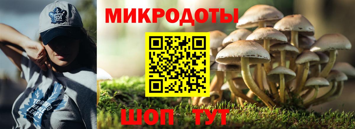 где найти   Вход с VPN  Сосновый Бор  Галлюциногенные грибы мицелий 